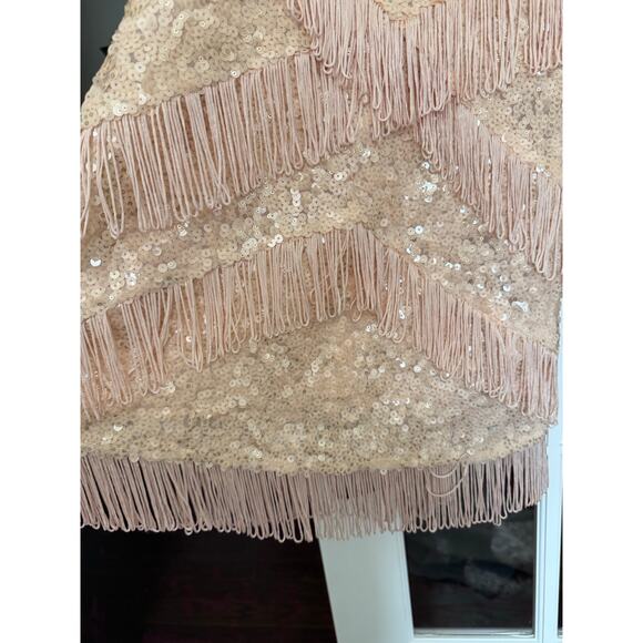 Gianni Bini Maritza Sequin and Fringe Pink Dress XS - Picture 3 of 14